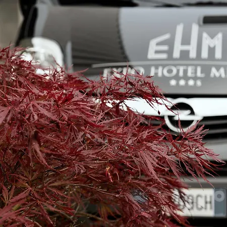 Hotel Expo Milan&spa